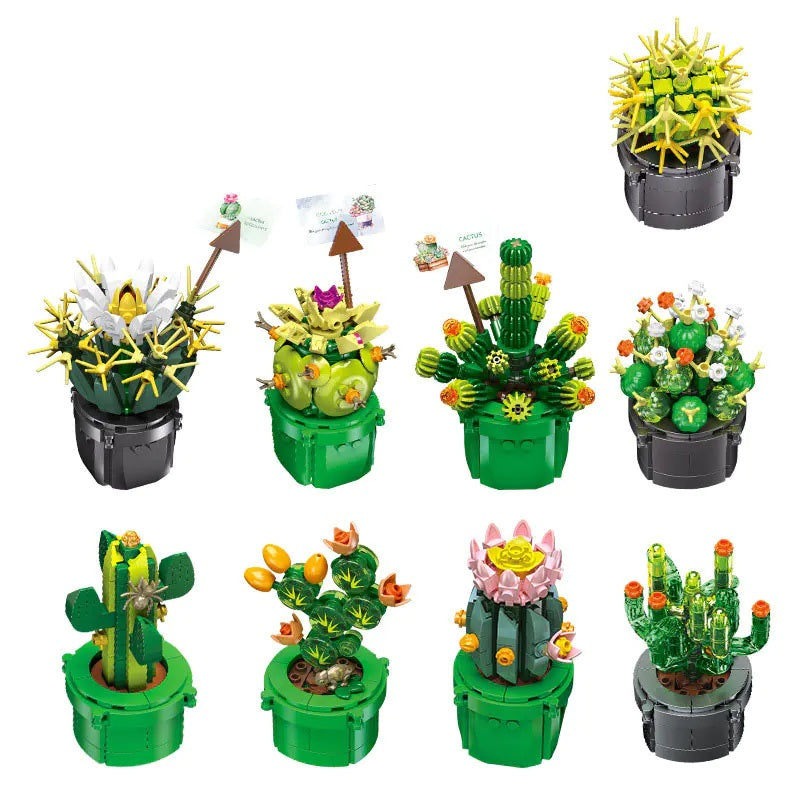 JJ9175 - 9 x Mini Cacti.