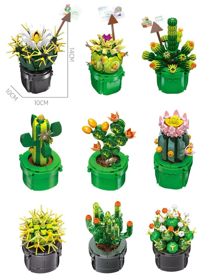 JJ9175 - 9 x Mini Cacti.