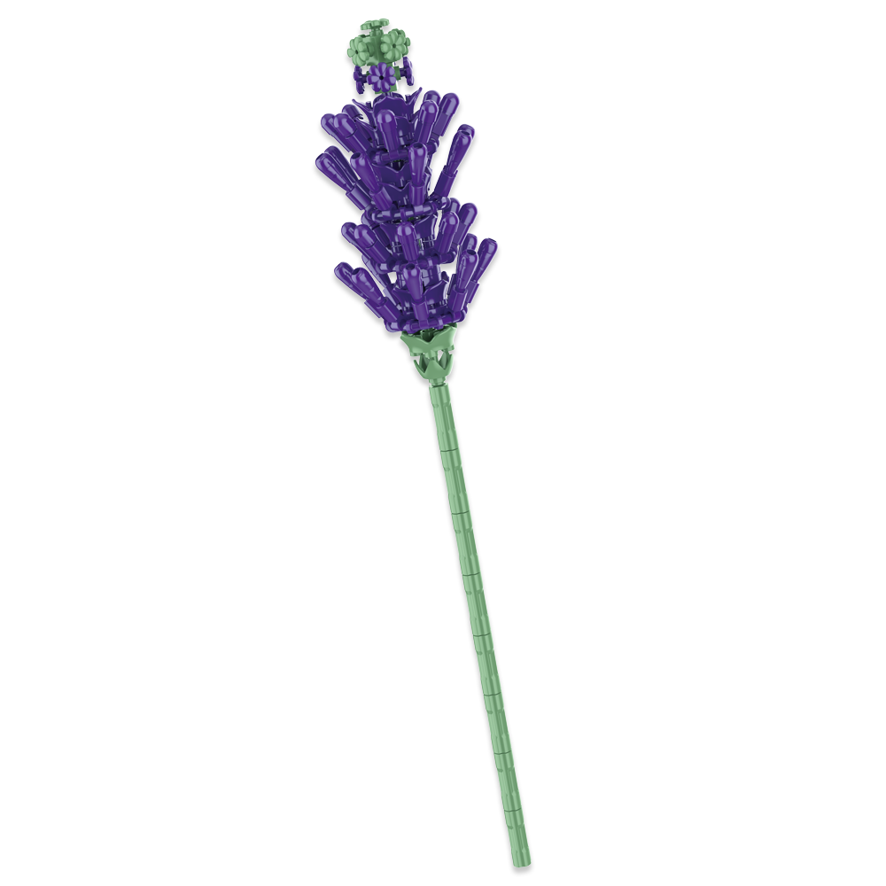 JK Single Stem Flowers