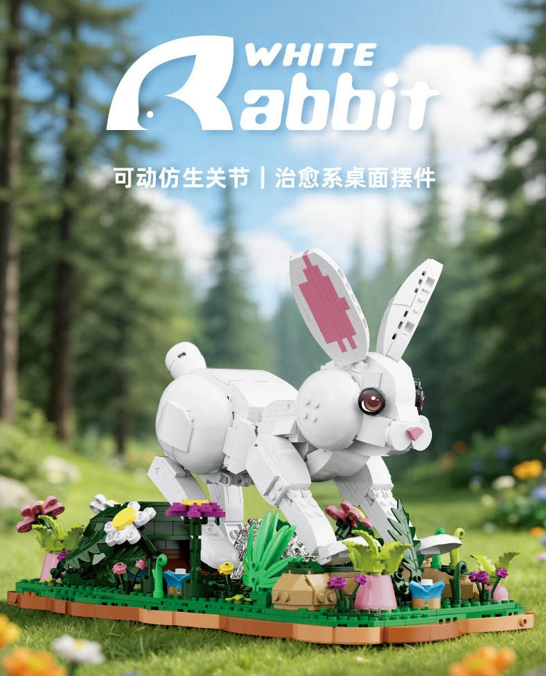 66255 - White Rabbit