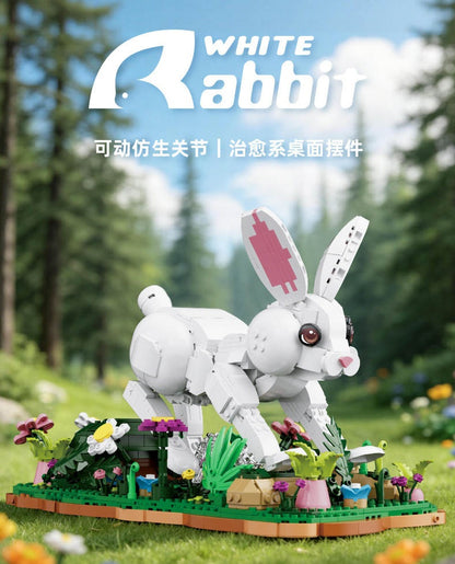 66255 - White Rabbit