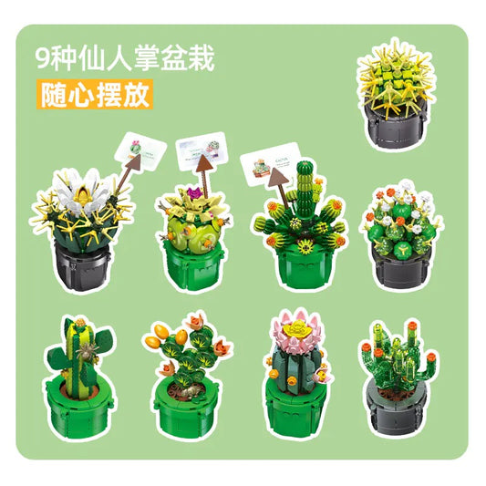 JJ9175 - 9 x Mini Cacti.