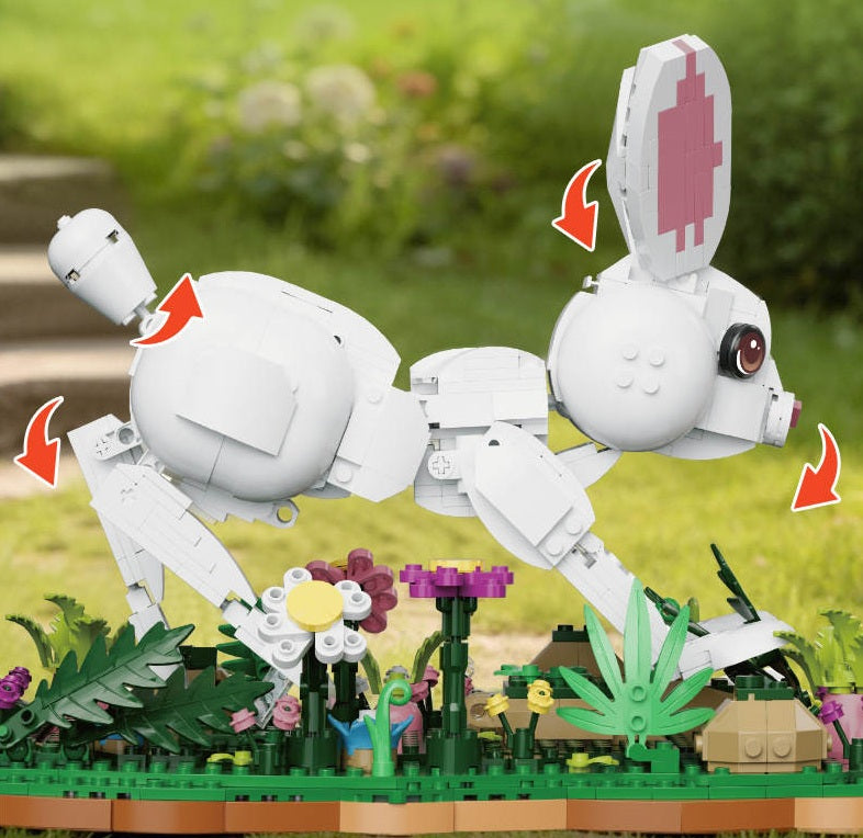 66255 - White Rabbit