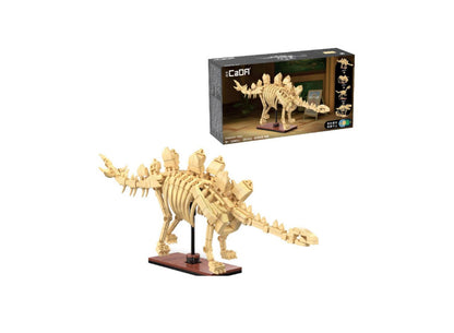 C59012 - C59014 - Glow in the dark Dinosaur skeleton models