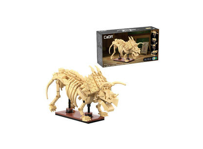 C59012 - C59014 - Glow in the dark Dinosaur skeleton models