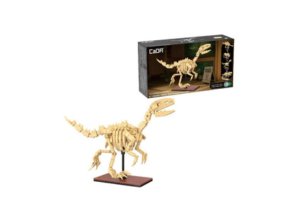 C59012 - C59014 - Glow in the dark Dinosaur skeleton models